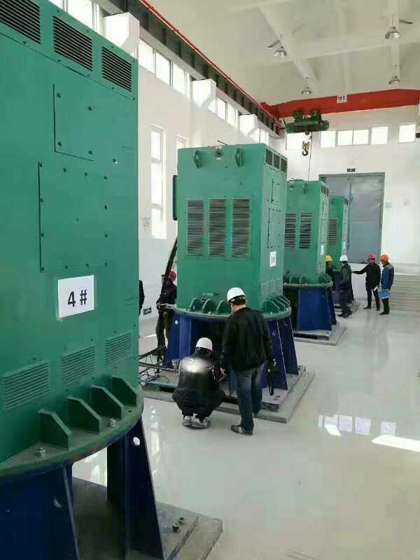 YR5002-6某污水处理厂使用我厂的立式高压电机安装现场