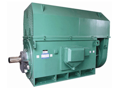 YR5002-6Y系列6KV高压电机